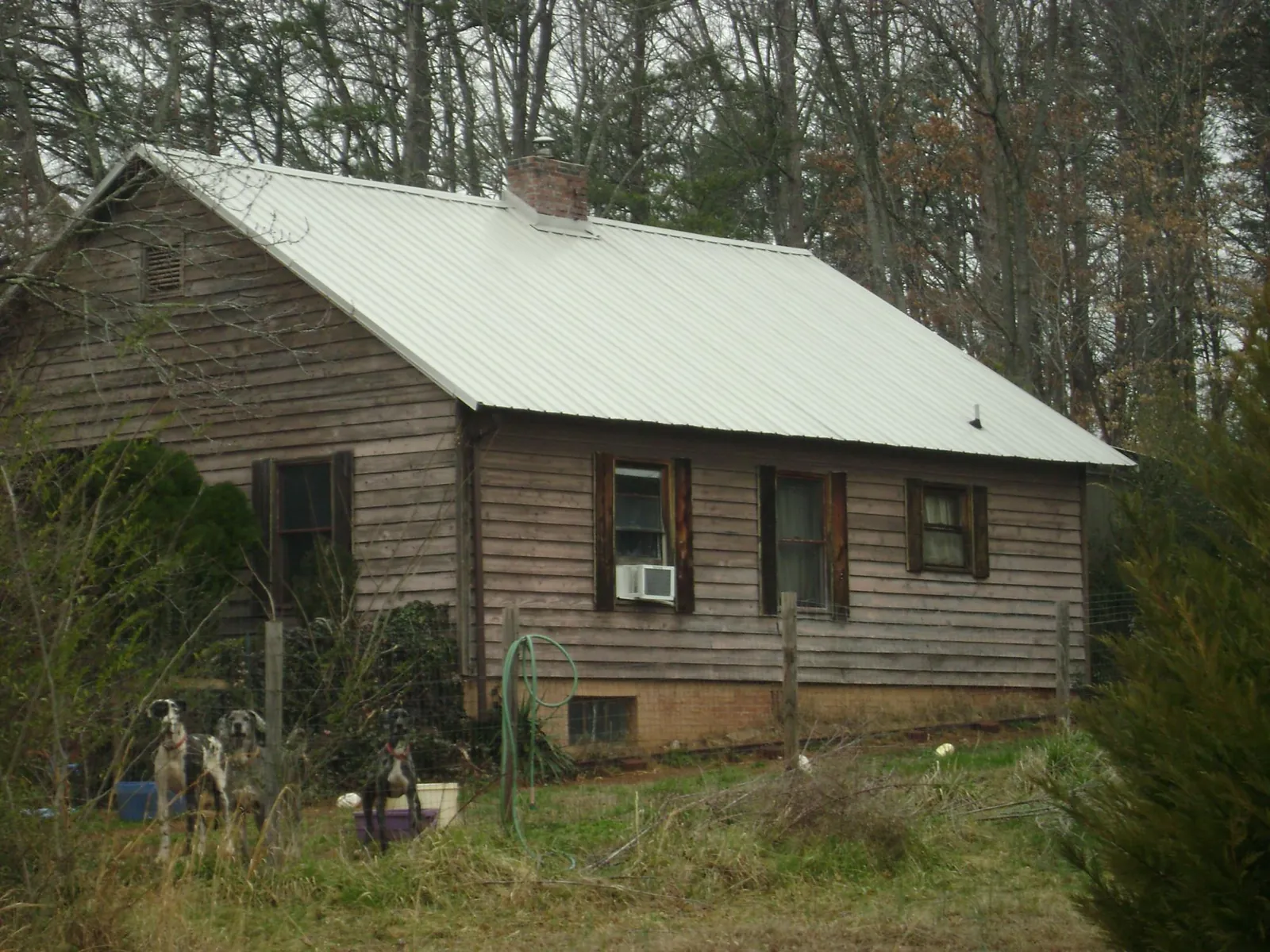 White metal roof on an old wood sided farmhouse, from a Asphalt Shingle Roof Repair job in Prospect